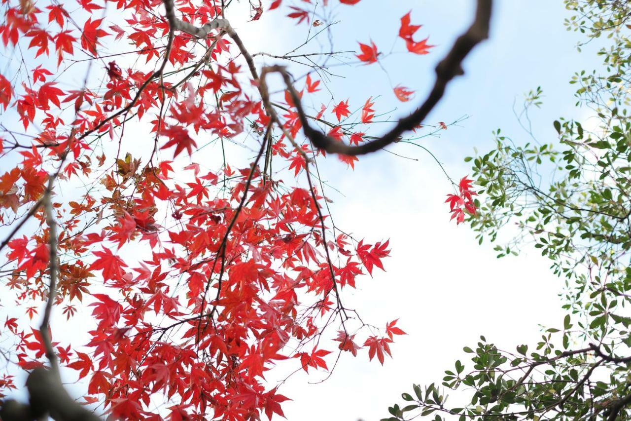 Ryokan Tanoya Kioto Exterior foto